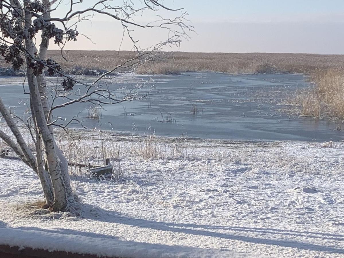 Lakeview & Wildlife Au Gres 외부 사진