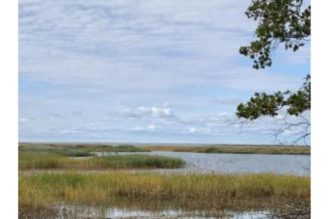 Lakeview & Wildlife Au Gres 외부 사진
